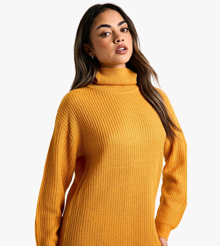 Ribbed Roll Neck Mini Sweater Dress