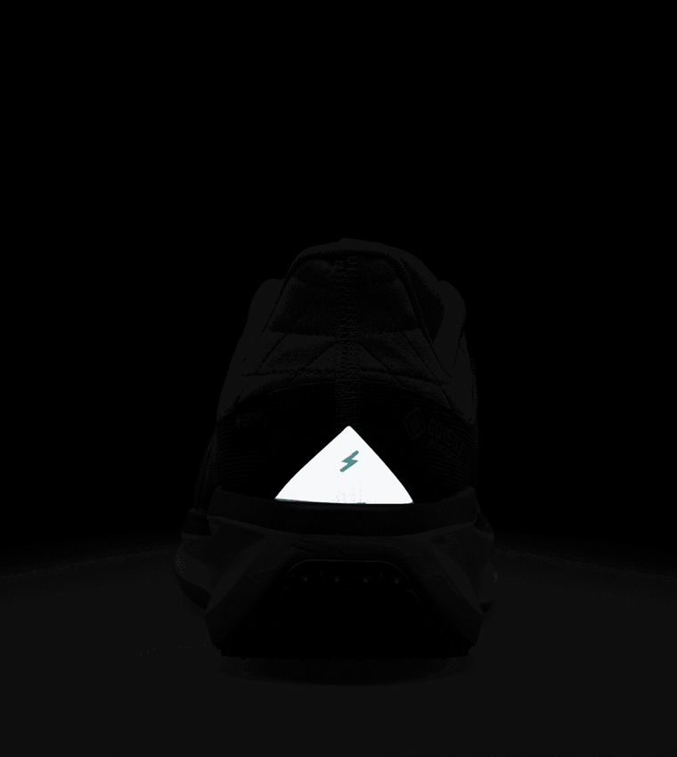 AIR WINFLO 11 GTX HP Lace Up Running Shoes