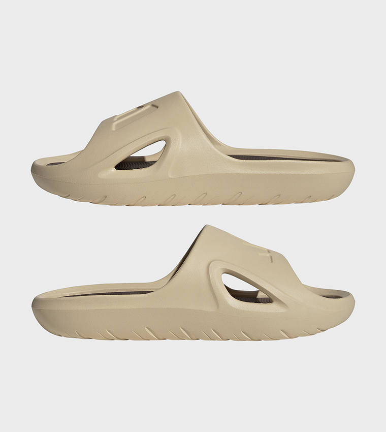 ADICANE Logo Detail Slides