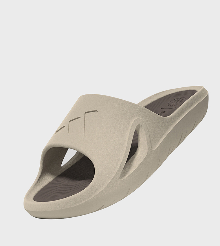 ADICANE Logo Detail Slides