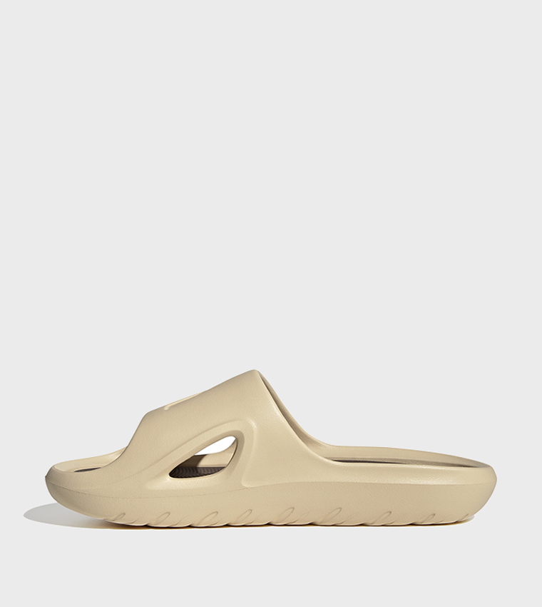 ADICANE Logo Detail Slides