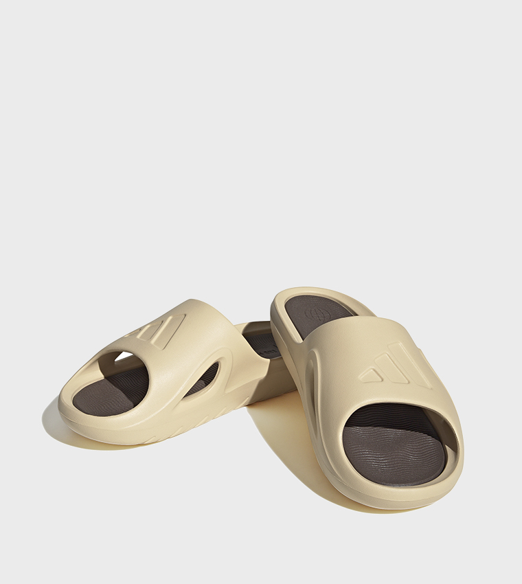 ADICANE Logo Detail Slides