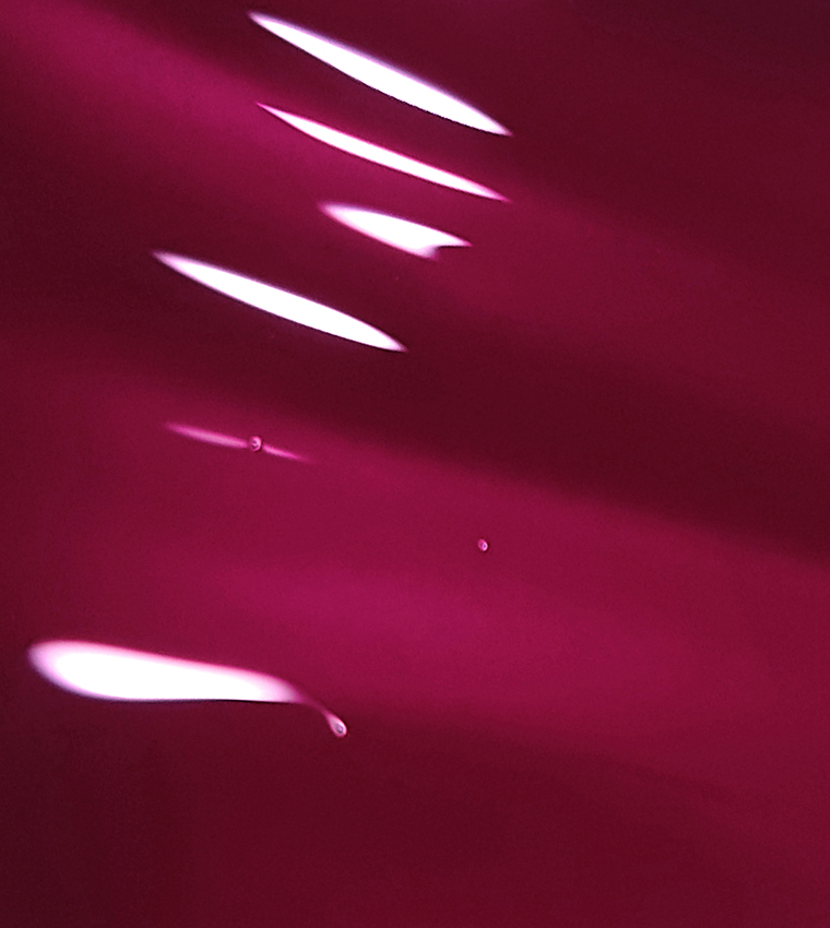 High Gloss Lip Oil 05 - Burgundy