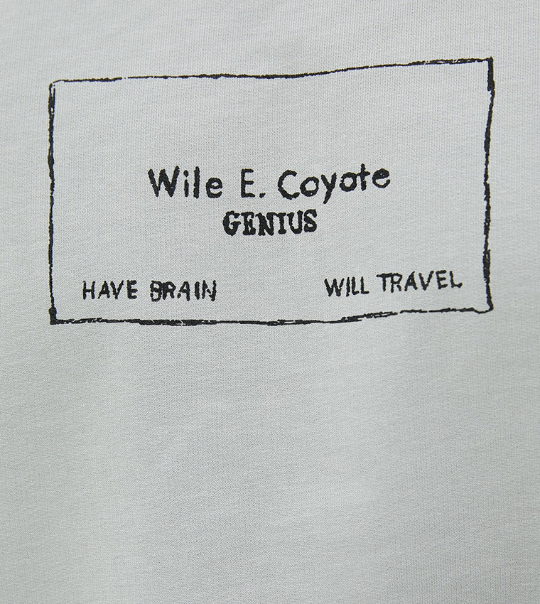 Licensed Looney Tunes Tasmanian Devil Printed Oversized T-Shirt