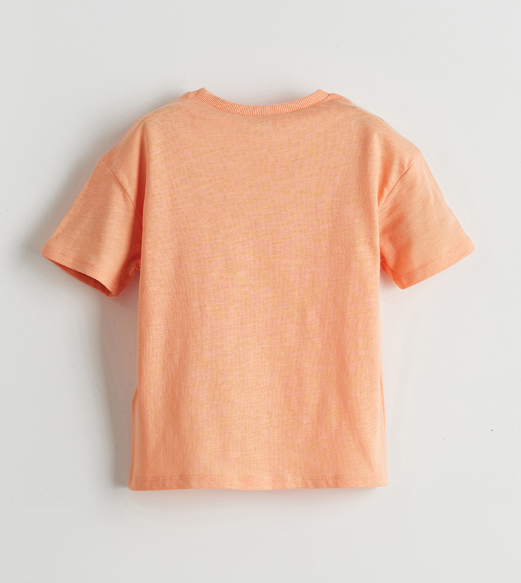 Pack of 2 Solid Short Sleeves T-Shirts