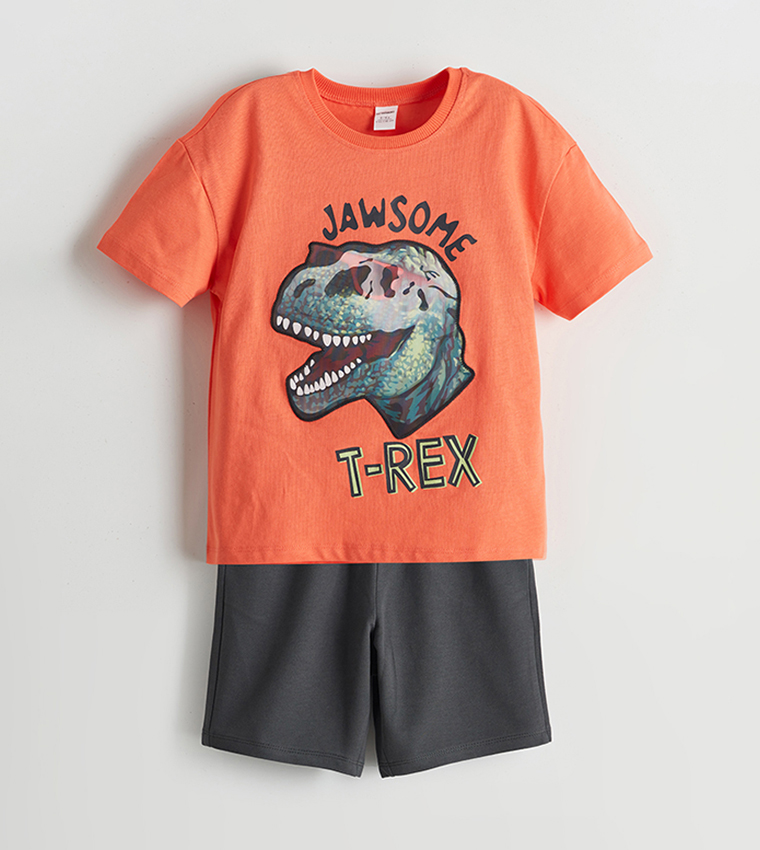 Printed Short Sleeves Clothing Set