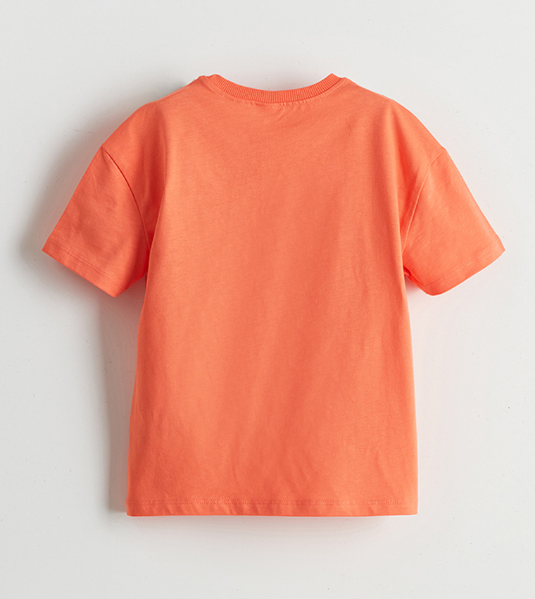 Printed Short Sleeves Clothing Set
