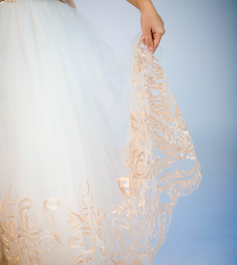 Lace Applique Ball Gown