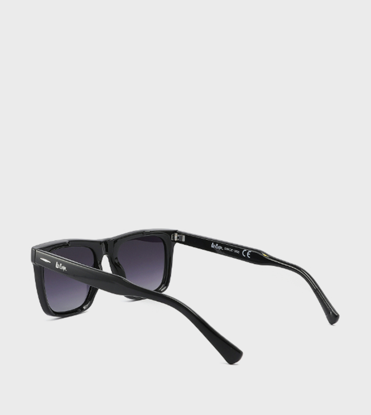 Polarized Wayfarer Sunglasses