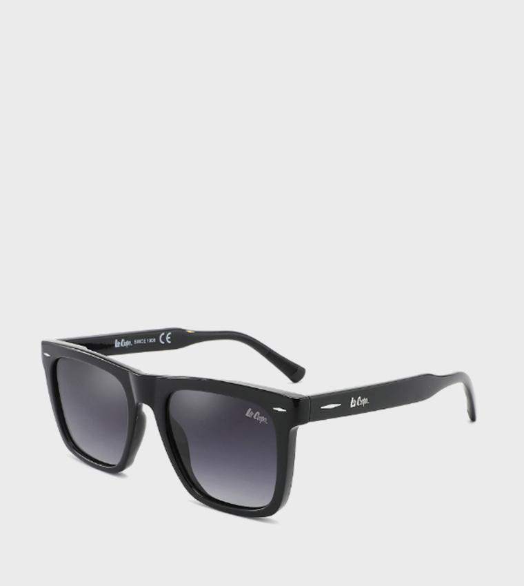 Polarized Wayfarer Sunglasses