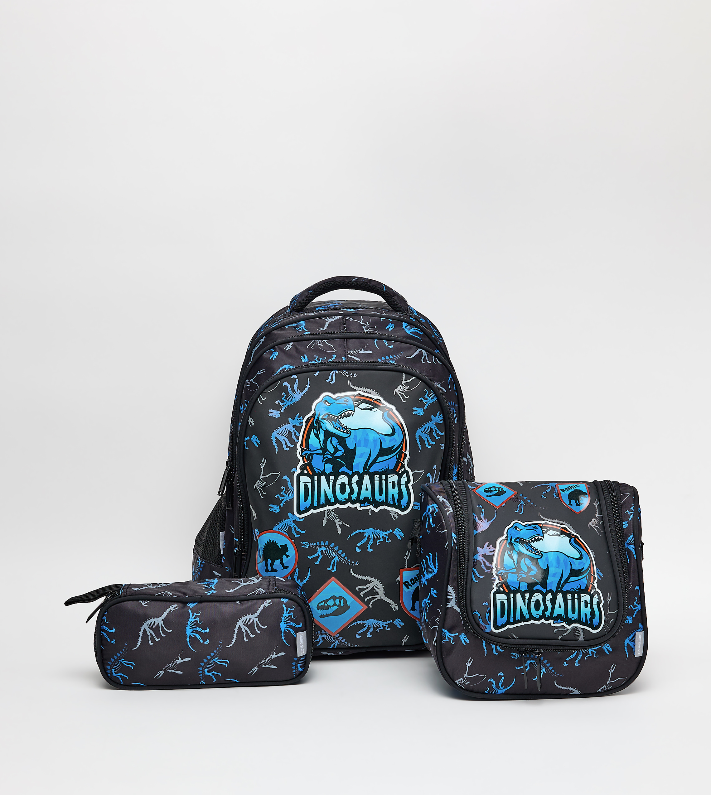 Dinosaur Printed 16" Backpack Set