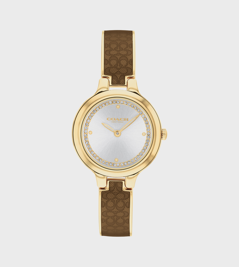 Silver Dial Steel Analog Watch