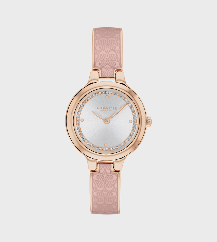 Silver Dial Steel Analog Watch