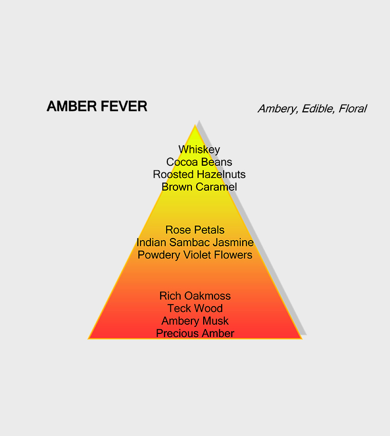 Amber Fever EDP, 120ml