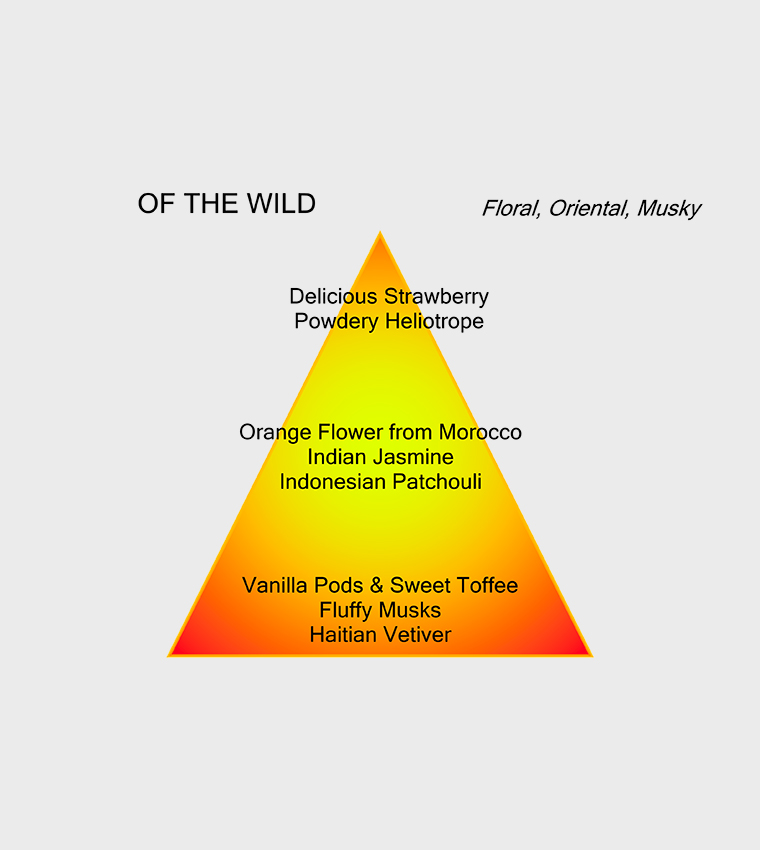 Of The Wild EDP, 120ml