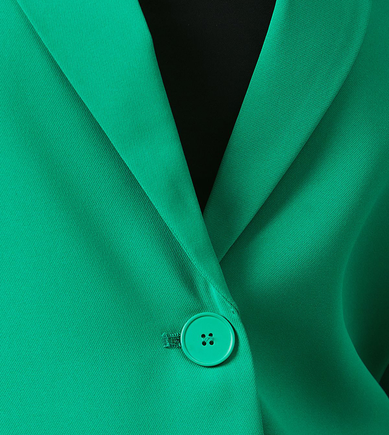 Long Sleeves Single Breasted Blazer
