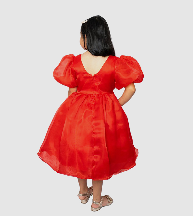Balloon Sleeves Fit and Flare Dress
