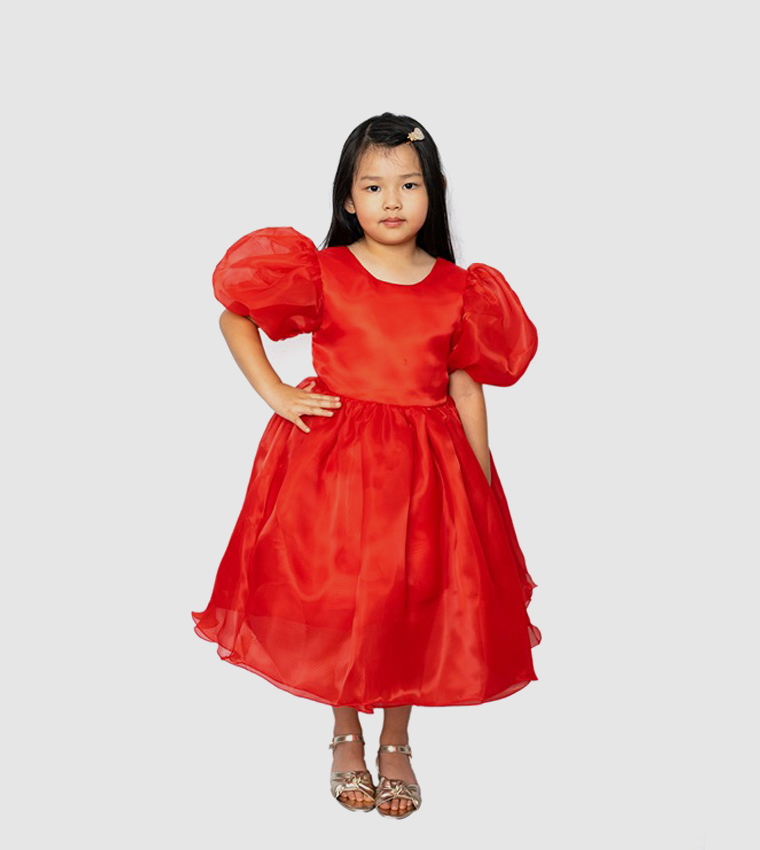 Balloon Sleeves Fit and Flare Dress