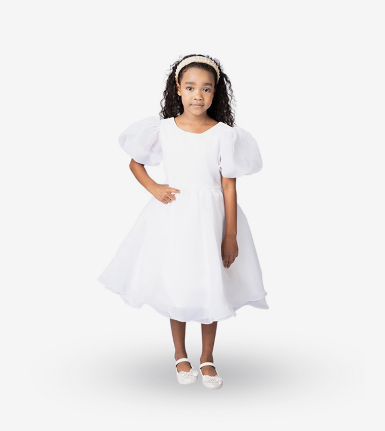 Balloon Sleeves Fit and Flare Dress