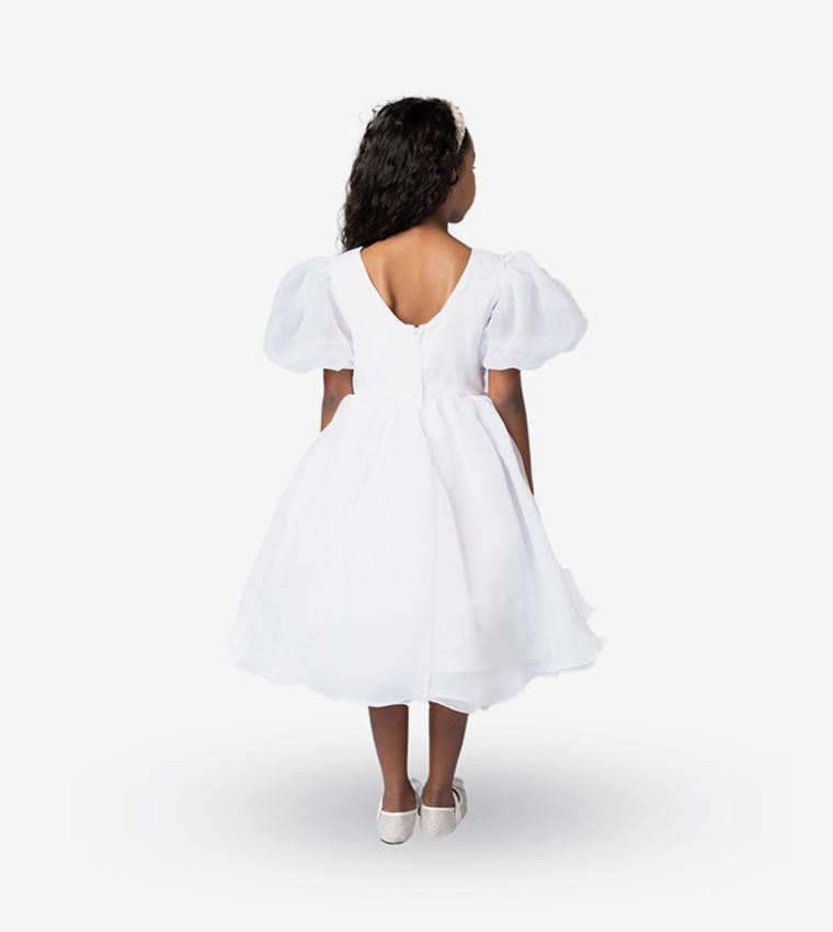 Balloon Sleeves Fit and Flare Dress