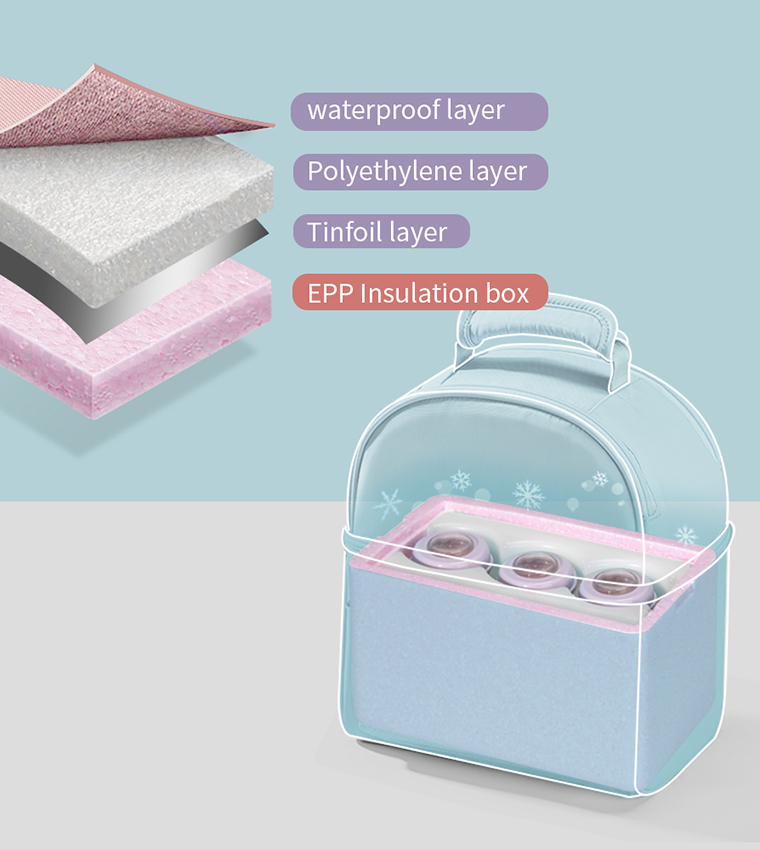 Insulated Lunch Bag With Thermo Box