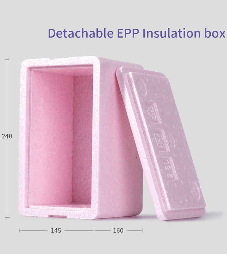 Insulated Lunch Bag With Thermo Box