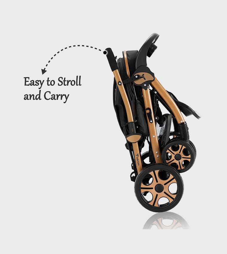 Reversible Trip2 Stroller