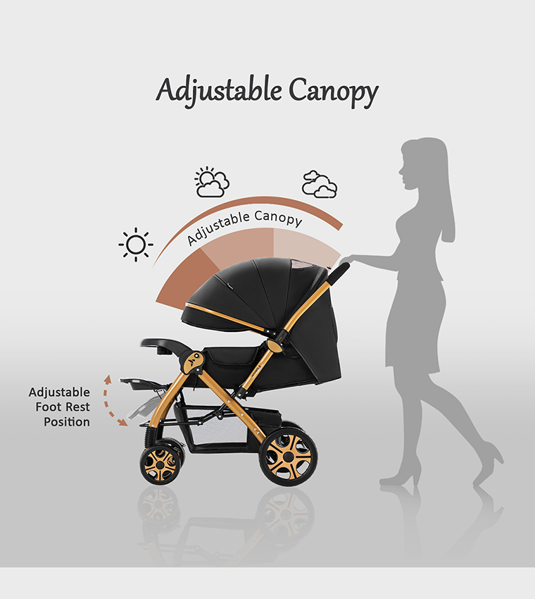 Reversible Trip2 Stroller