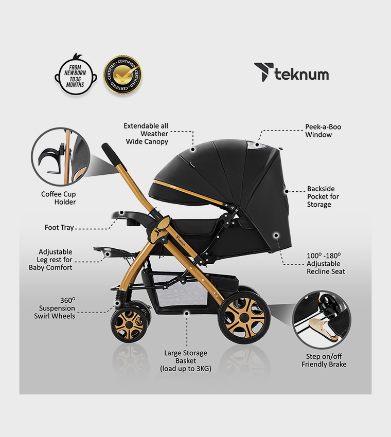 Reversible Trip2 Stroller