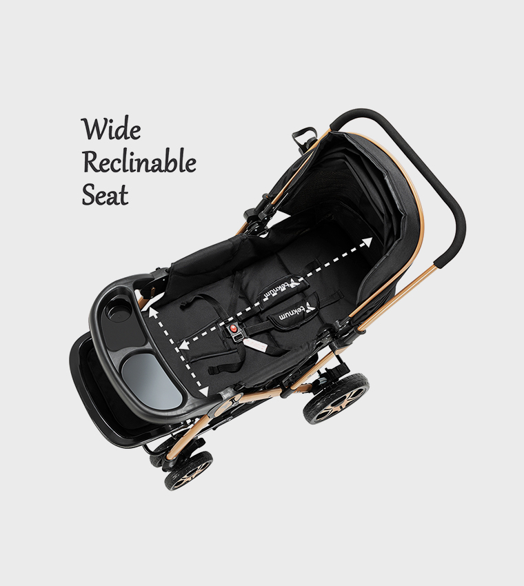 Reversible Trip2 Stroller