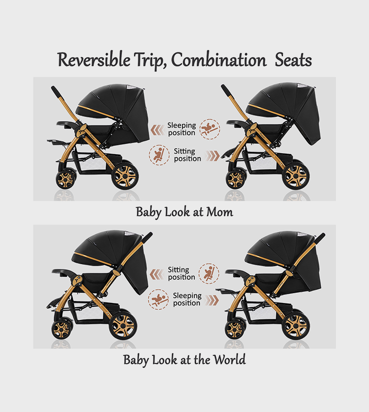 Reversible Trip2 Stroller