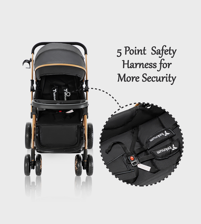 Reversible Trip2 Stroller
