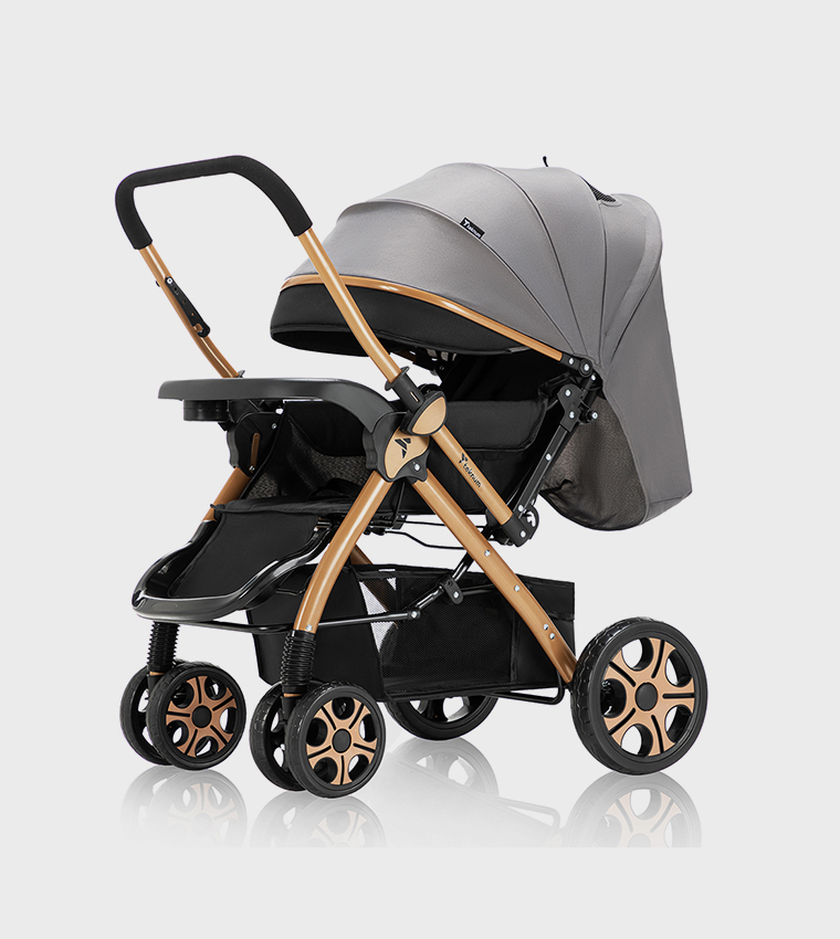 Reversible Trip2 Stroller