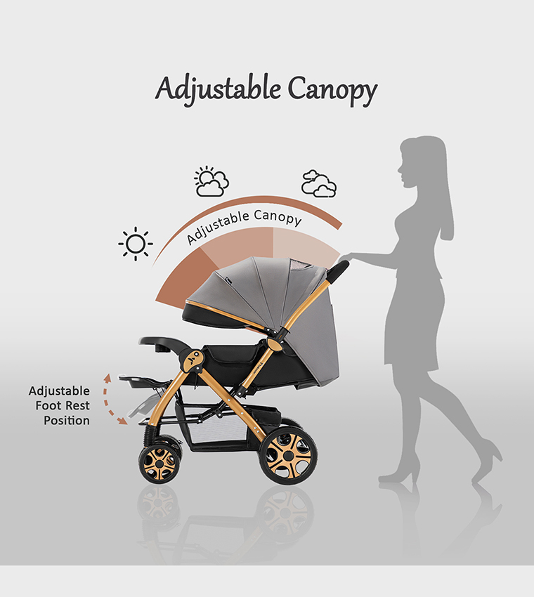 Reversible Trip2 Stroller