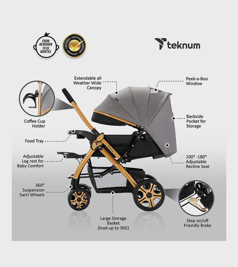 Reversible Trip2 Stroller