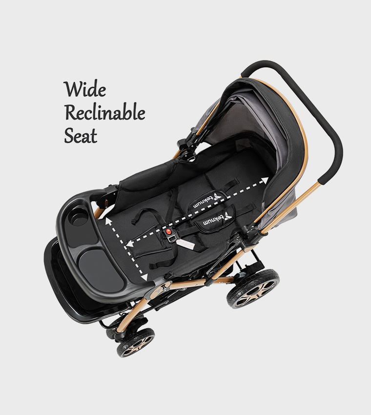 Reversible Trip2 Stroller