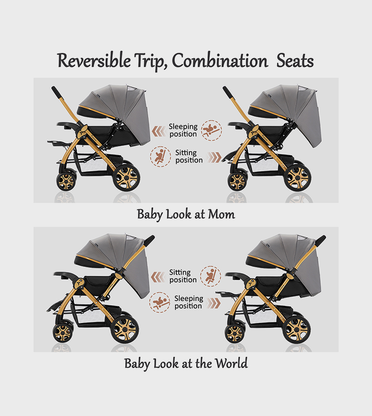 Reversible Trip2 Stroller