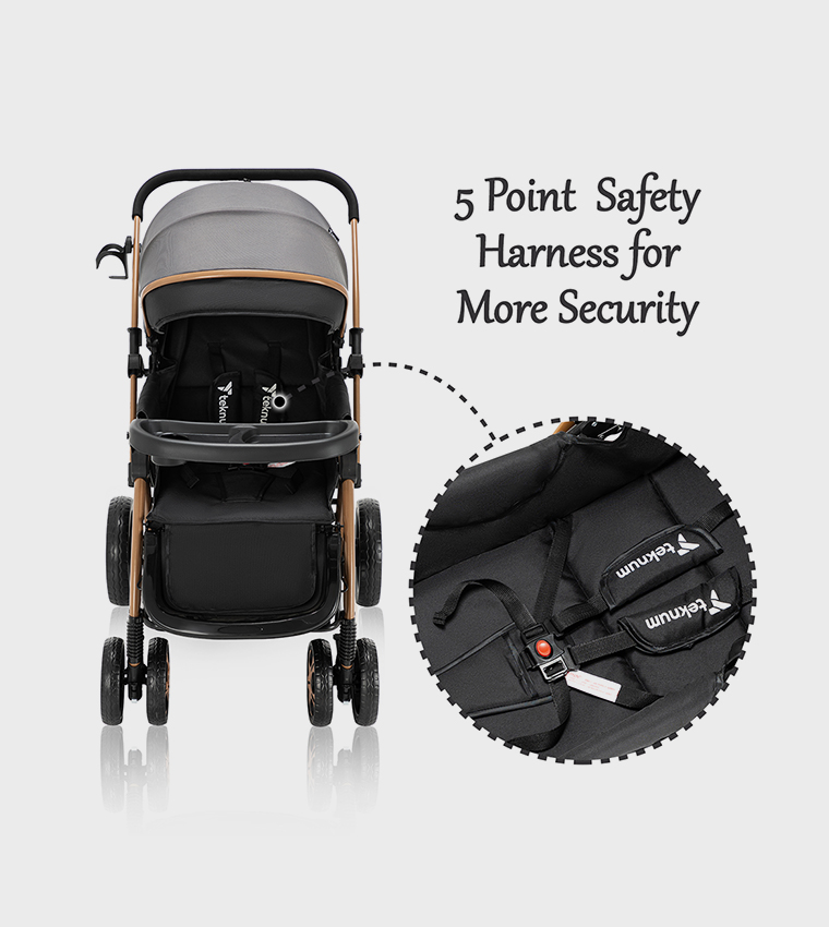 Reversible Trip2 Stroller
