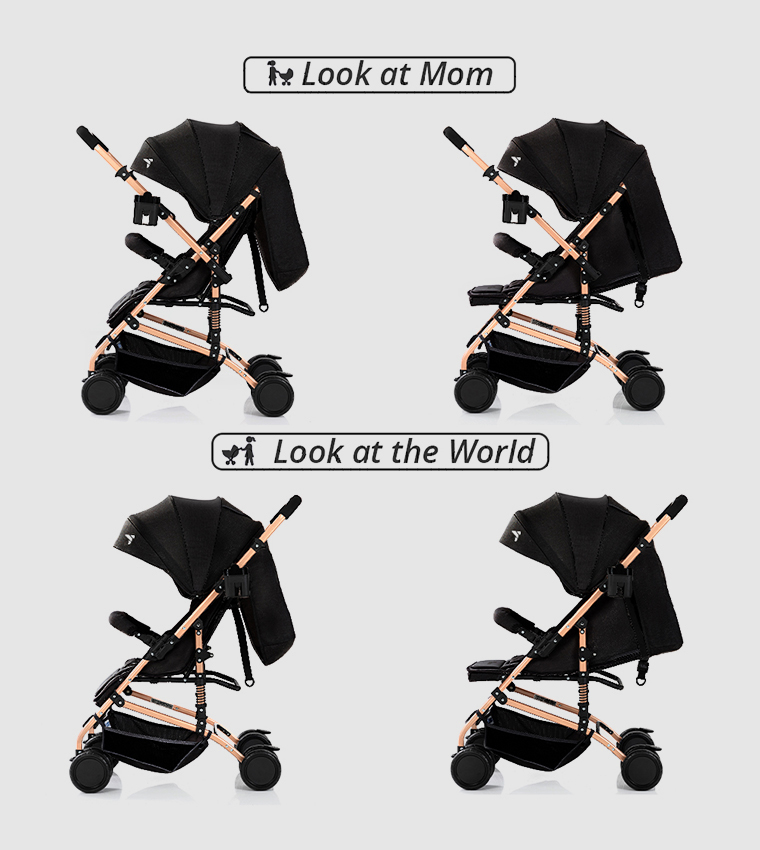 Reversible Trip Stroller