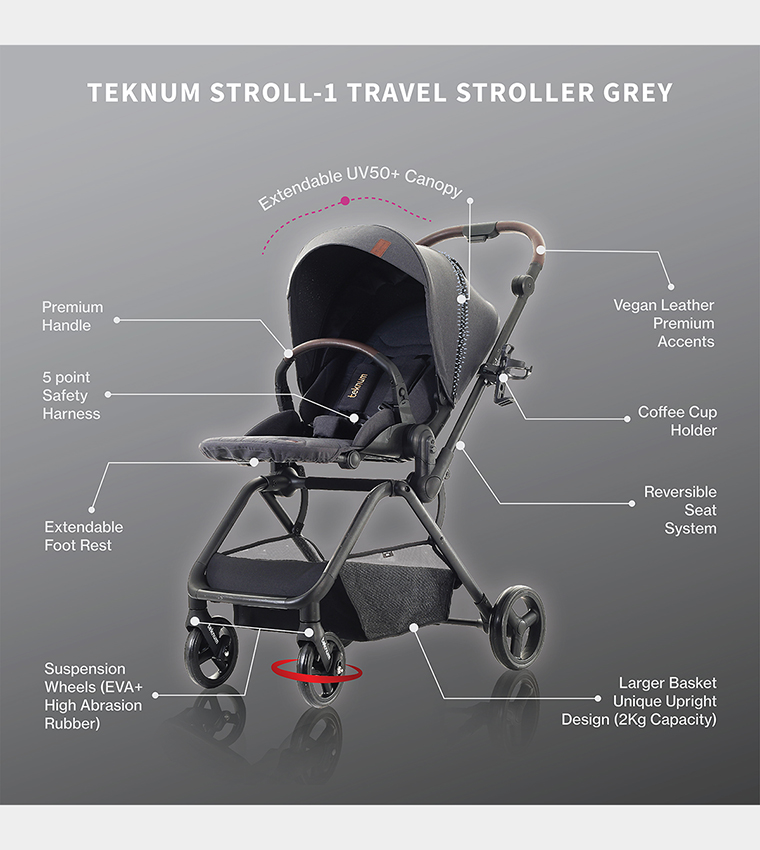 Stroll-1 Reversible Travel Stroller