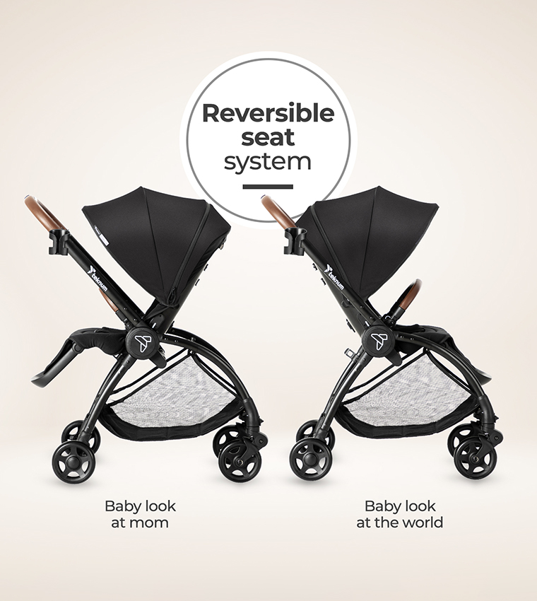 Reversible Travel Stroller