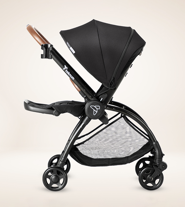 Reversible Travel Stroller