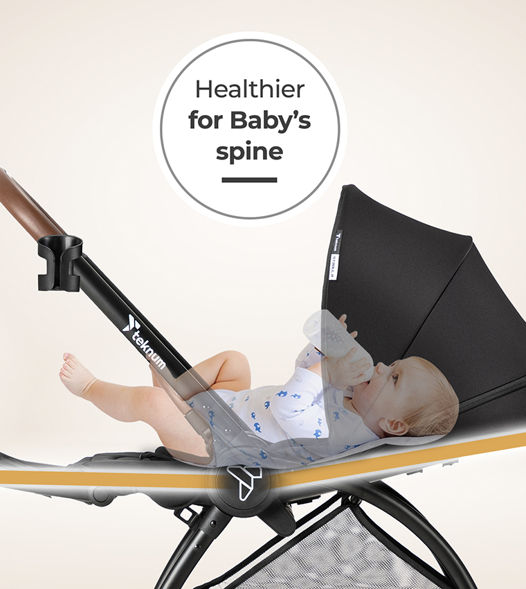 Reversible Travel Stroller