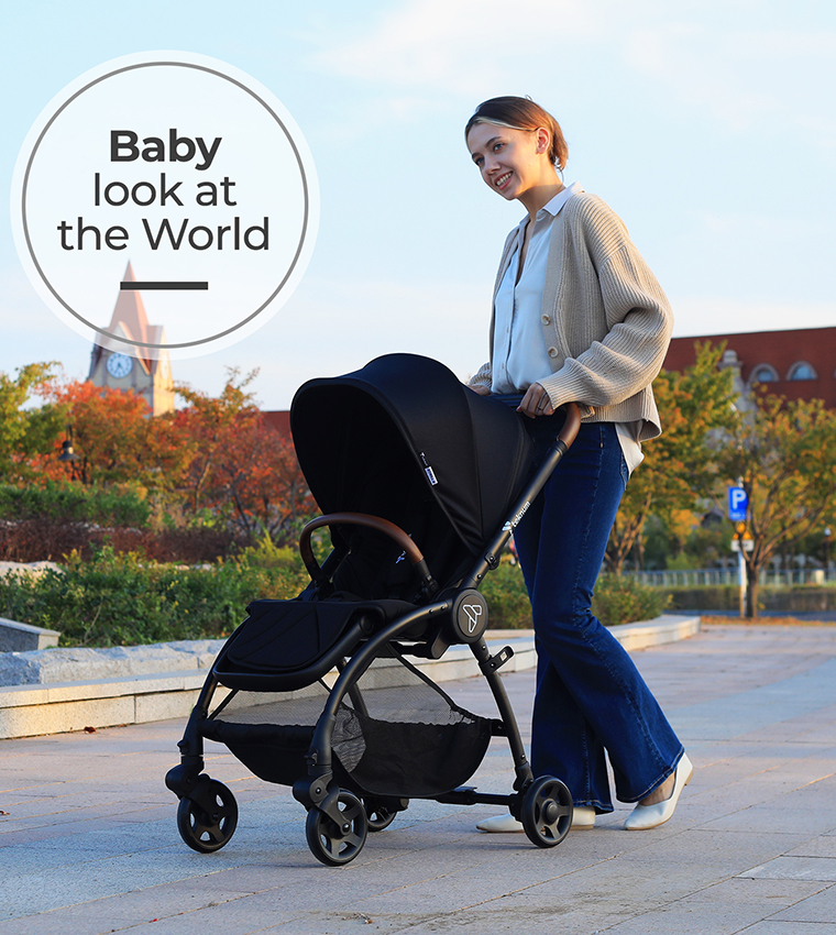 Reversible Travel Stroller