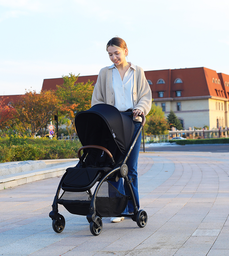 Reversible Travel Stroller
