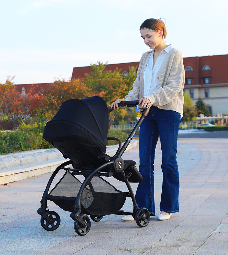 Reversible Travel Stroller