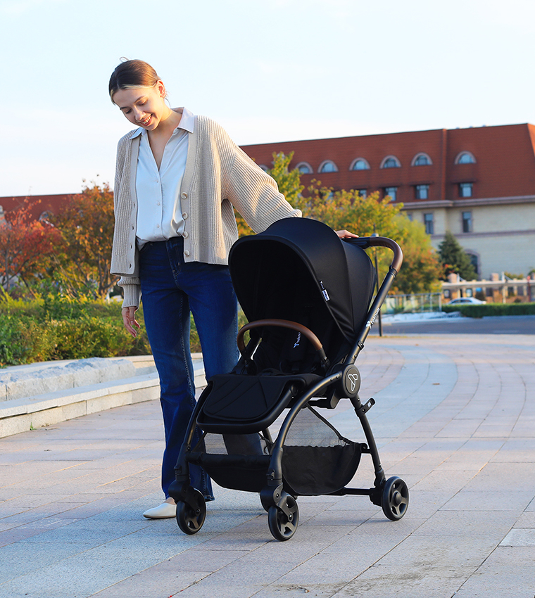 Reversible Travel Stroller