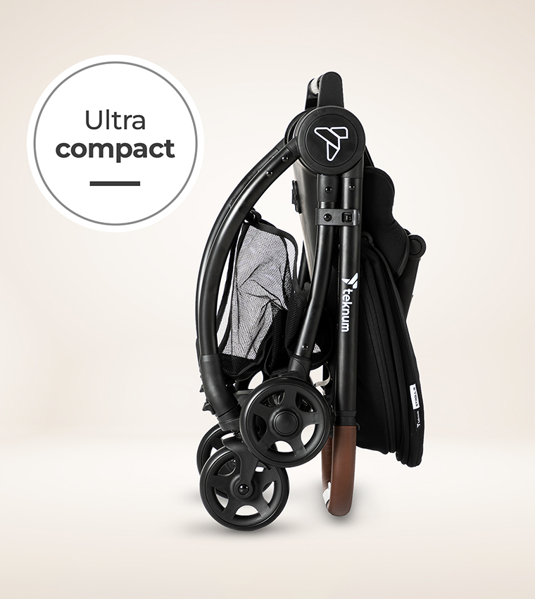 Reversible Travel Stroller