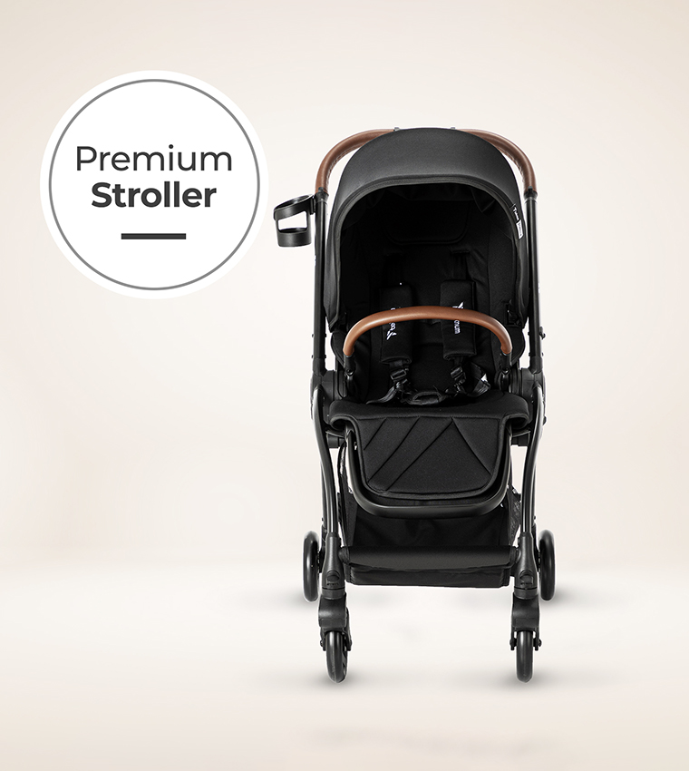 Reversible Travel Stroller