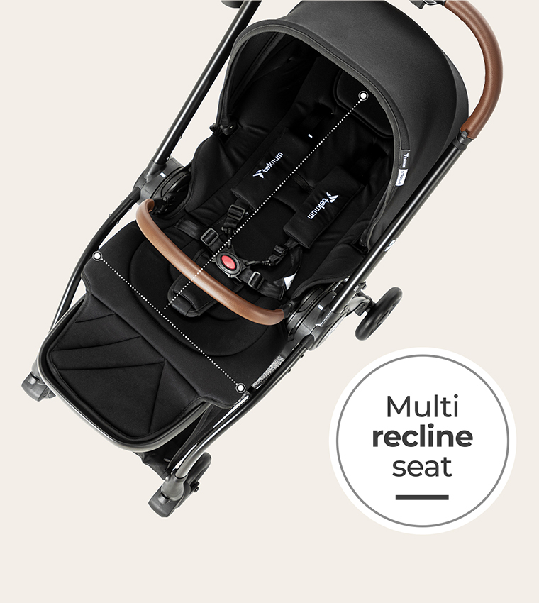 Reversible Travel Stroller